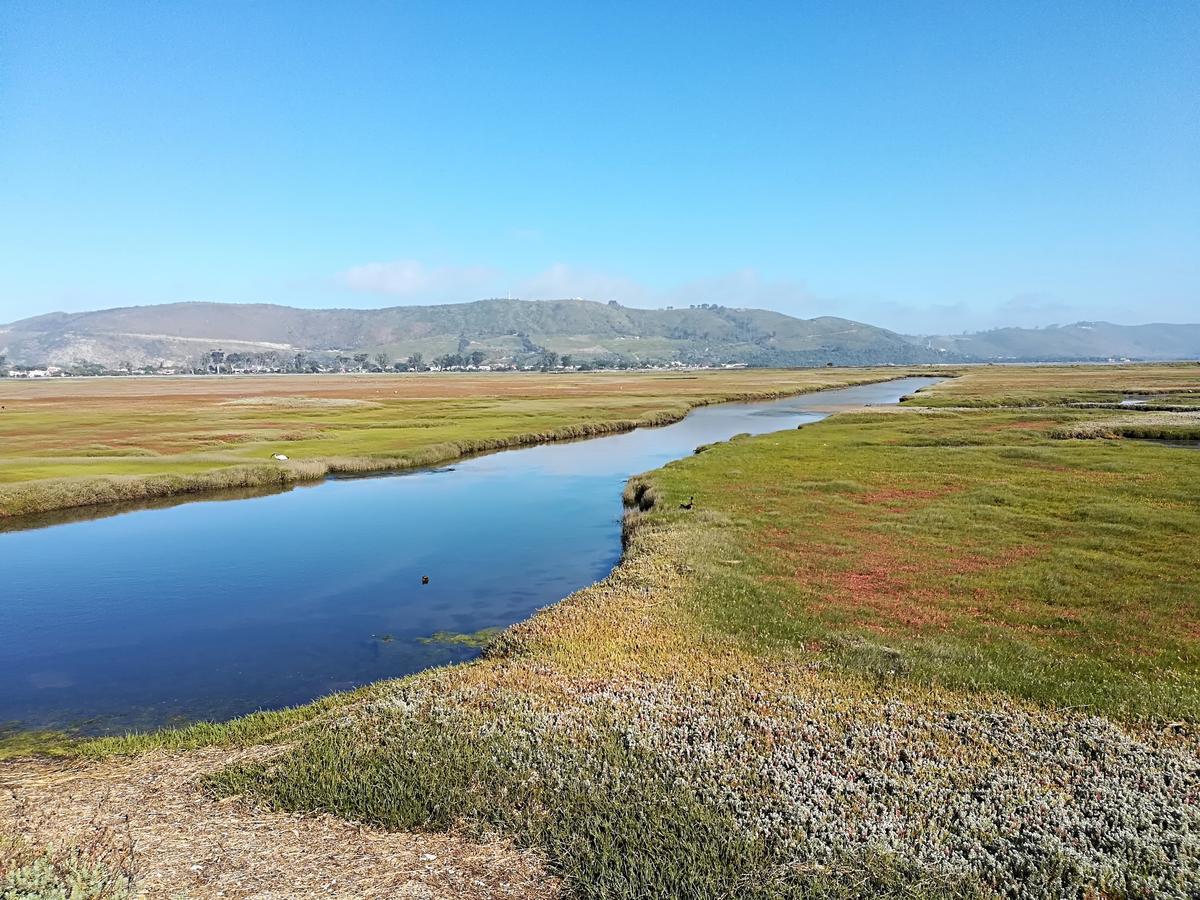 Knysna Herons Guest House 외부 사진
